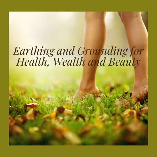 Earthing and Grounding for Health, Wealth and Beauty🌿